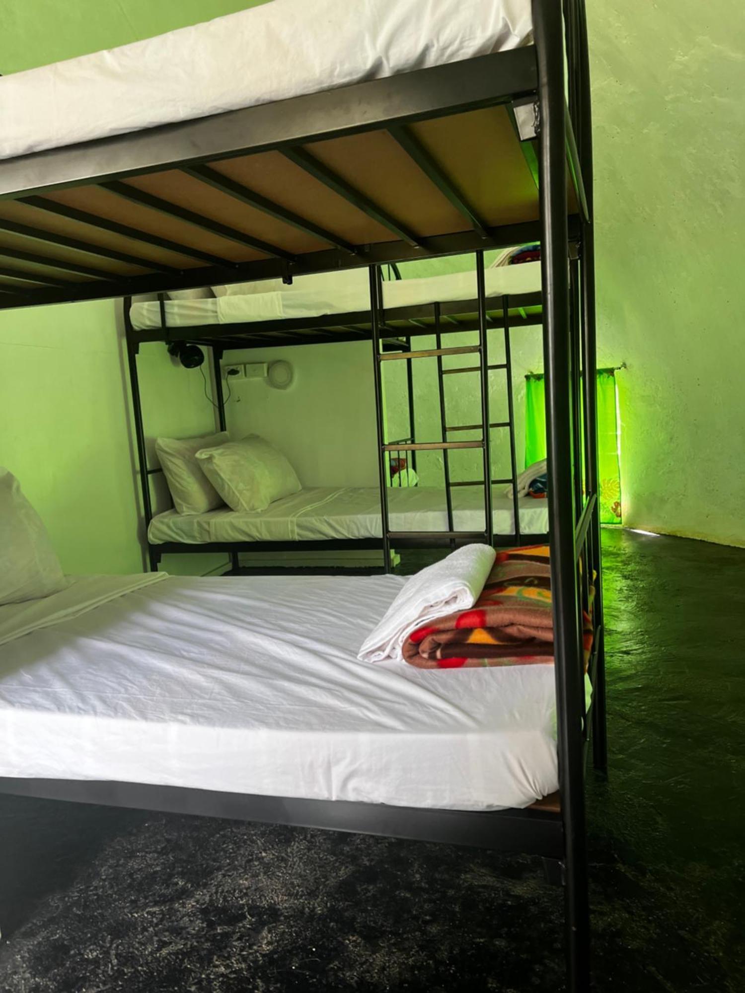 Camp Taveuni Hostel Ματέι Εξωτερικό φωτογραφία